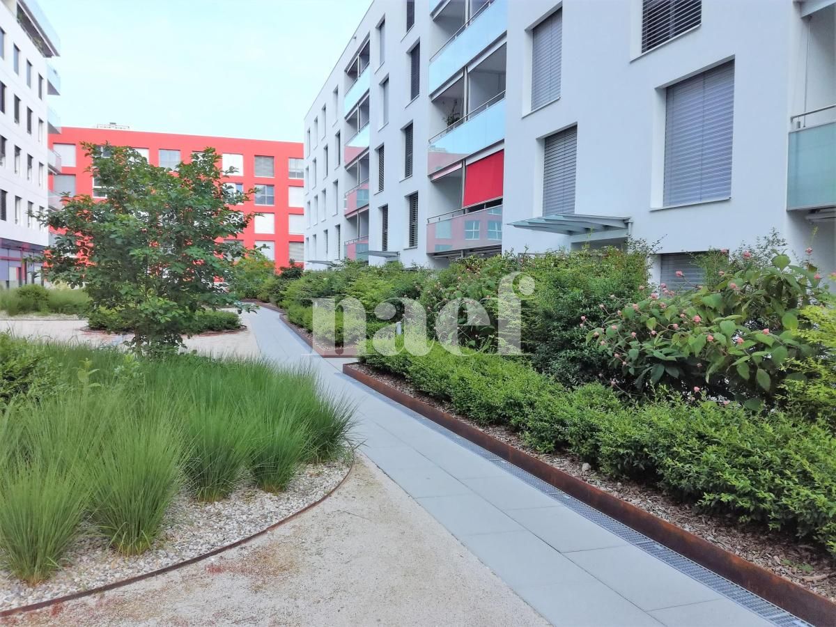 À louer : Appartement 2.5 Pieces Nyon - Ref : EC.45087 | Naef Immobilier