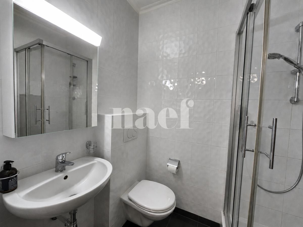 À louer : Appartement 6 Pieces Genève - Ref : EC.45141 | Naef Immobilier
