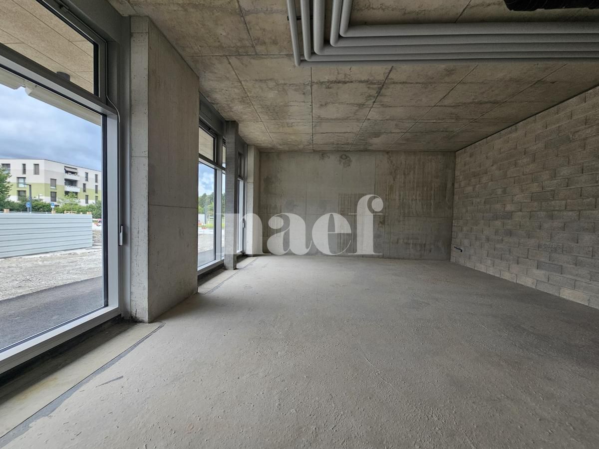 À louer : Surface Commerciale Arcade Vessy - Ref : EC.45685 | Naef Immobilier