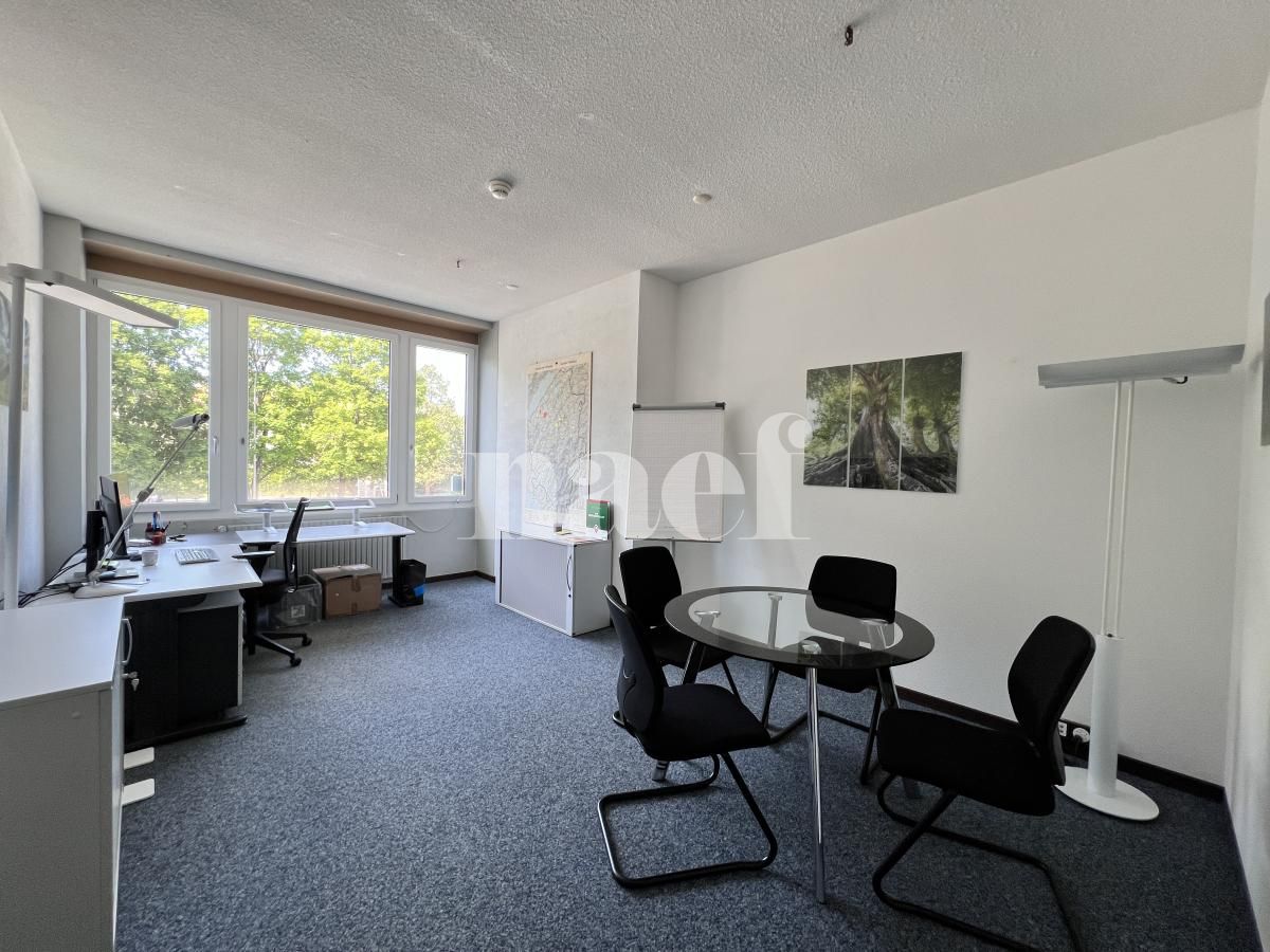 À louer : Surface Commerciale Bureau Fribourg - Ref : EC.45952 | Naef Immobilier