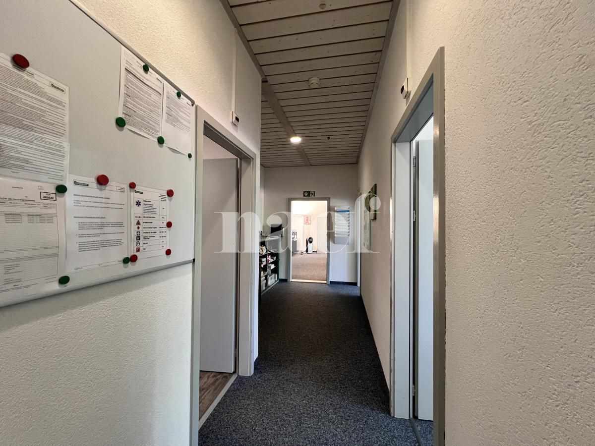 À louer : Surface Commerciale Bureau Fribourg - Ref : EC.45952 | Naef Immobilier