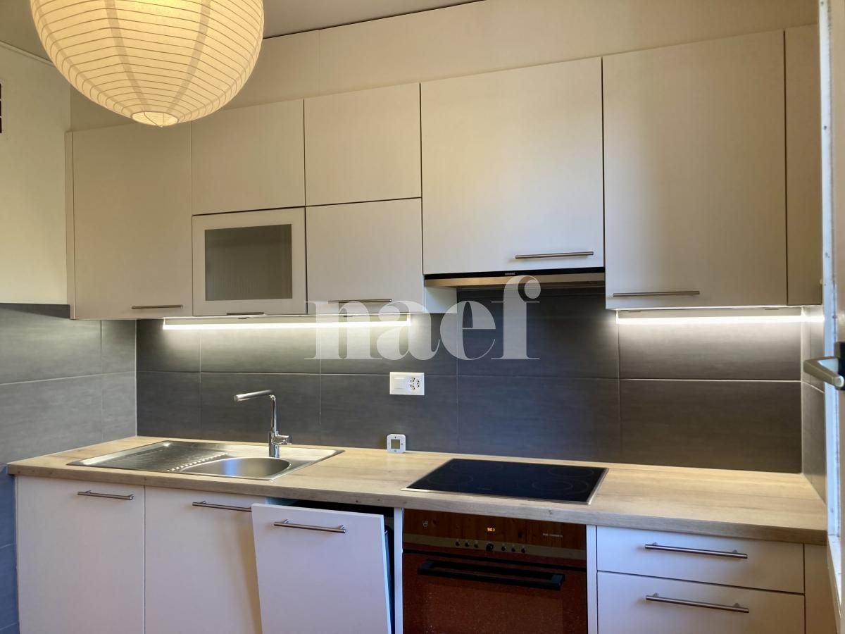 À louer : Appartement 4.5 Pieces Chêne-Bourg - Ref : EC.46300 | Naef Immobilier