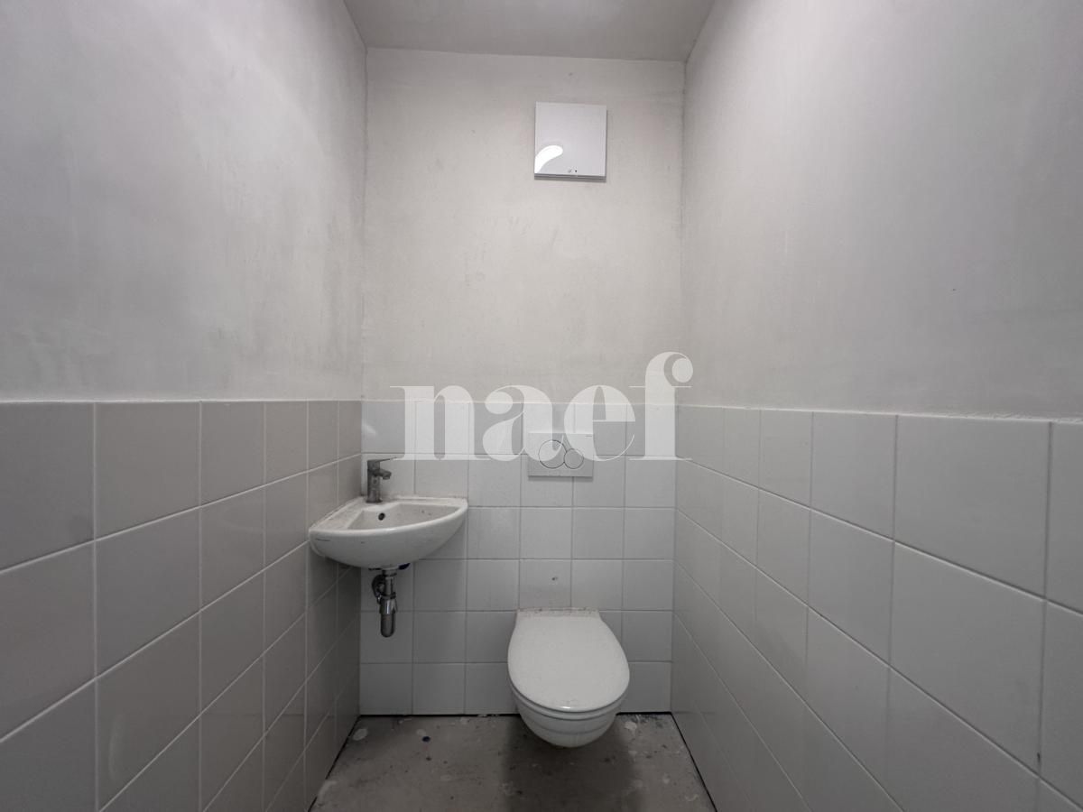À louer : Surface Commerciale Arcade Chêne-Bougeries - Ref : EC.46333 | Naef Immobilier