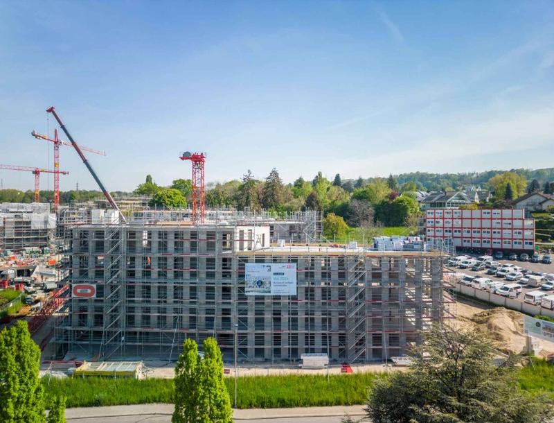 À louer : Surface Commerciale Bureau Crissier - Ref : 45493 | Naef Immobilier