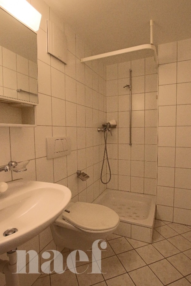 À louer : Appartement 4.5 Pieces Marin-Epagnier - Ref : 17262 | Naef Immobilier