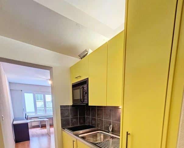 À louer : Appartement 1 Pieces Lausanne - Ref : 200215.2010 | Naef Immobilier