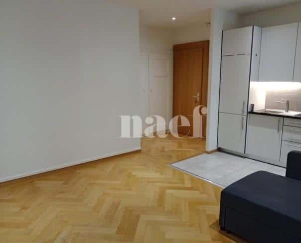 À louer : Appartement 2 Pieces Genève - Ref : 200715.3 | Naef Immobilier