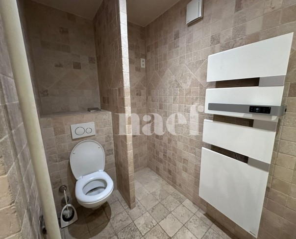 À louer : Appartement 3 Pieces Carouge - Ref : 201059.4002 | Naef Immobilier