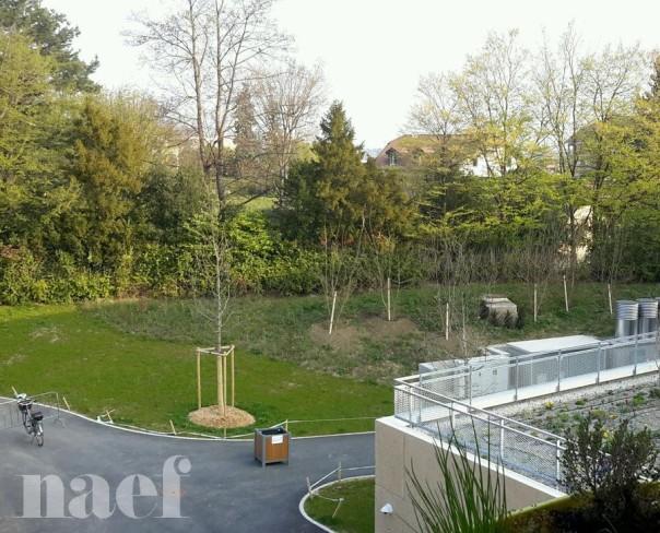 À louer : Appartement 4 Pieces Veyrier - Ref : 201109.1024 | Naef Immobilier