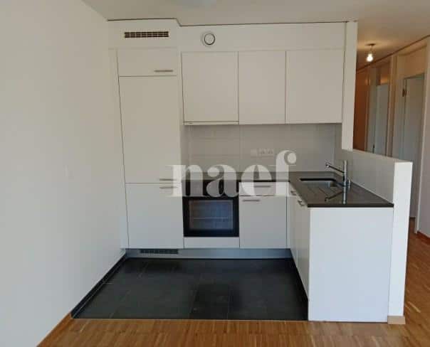 À louer : Appartement 4 Pieces Veyrier - Ref : 201109.1024 | Naef Immobilier