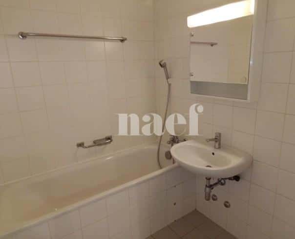À louer : Appartement 4 Pieces Petit-Lancy - Ref : 201122.6001 | Naef Immobilier