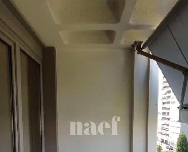 À louer : Appartement 4 Pieces Petit-Lancy - Ref : 201122.6001 | Naef Immobilier