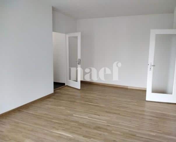À louer : Appartement 4 Pieces Petit-Lancy - Ref : 201126.3002 | Naef Immobilier