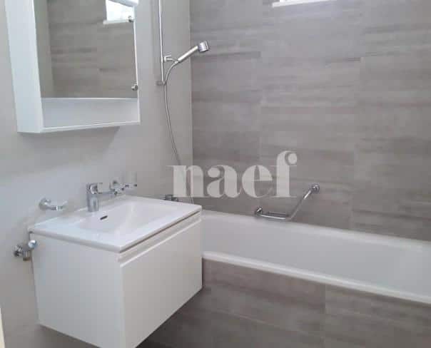 À louer : Appartement 5 Pieces Petit-Lancy - Ref : 201127.3002 | Naef Immobilier