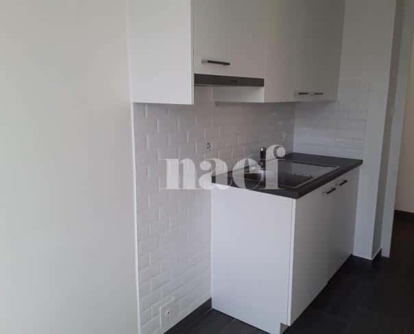 À louer : Appartement 5 Pieces Petit-Lancy - Ref : 201127.3002 | Naef Immobilier