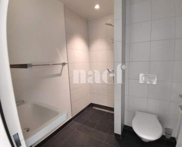 À louer : Appartement 2 Pieces Genève - Ref : 201195.5502 | Naef Immobilier