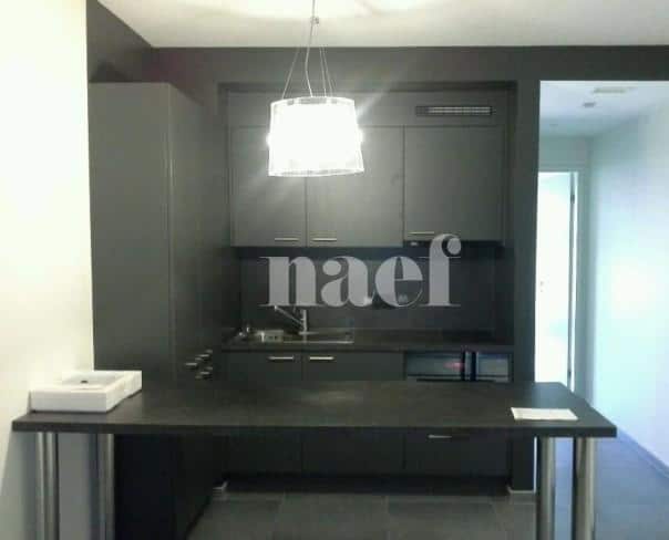 À louer : Appartement 2 Pieces Genève - Ref : 201195.8803 | Naef Immobilier