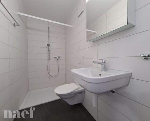 À louer : Appartement 4.5 Pieces Dompierre FR - Ref : 201340.1007 | Naef Immobilier