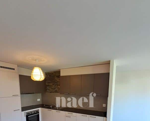 À louer : Appartement 2.5 Pieces Roche - Ref : 201355.5 | Naef Immobilier