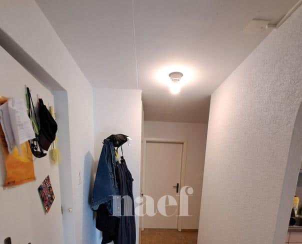 À louer : Appartement 2.5 Pieces Ardon - Ref : 201356.1013 | Naef Immobilier