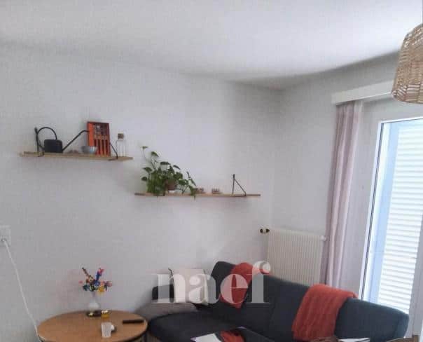 À louer : Appartement 2 Pieces Le Landeron - Ref : 201360.3001 | Naef Immobilier