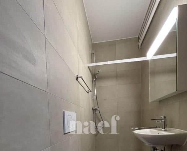 À louer : Appartement 3 Pieces Le Landeron - Ref : 201361.2 | Naef Immobilier