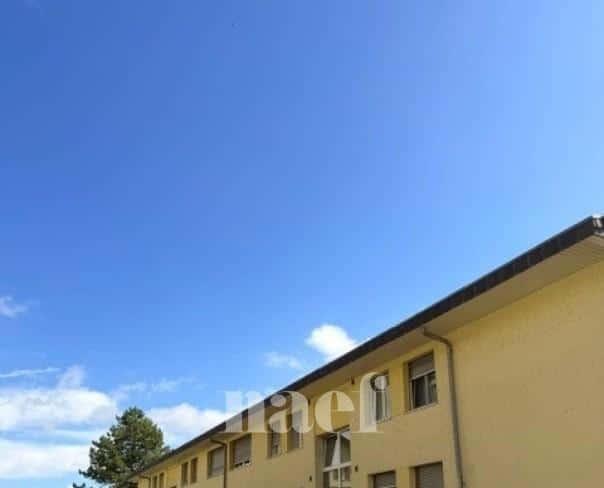 À louer : Appartement 2.5 Pieces Orbe - Ref : 201379.1005 | Naef Immobilier