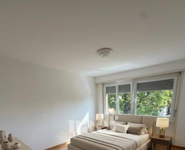 À louer : Appartement 2.5 Pieces Orbe - Ref : 201379.1005 | Naef Immobilier