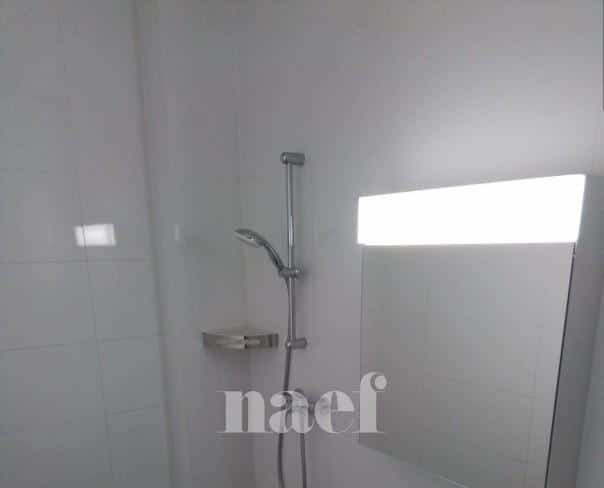 À louer : Appartement 2 Pieces Genève - Ref : 201477.5 | Naef Immobilier