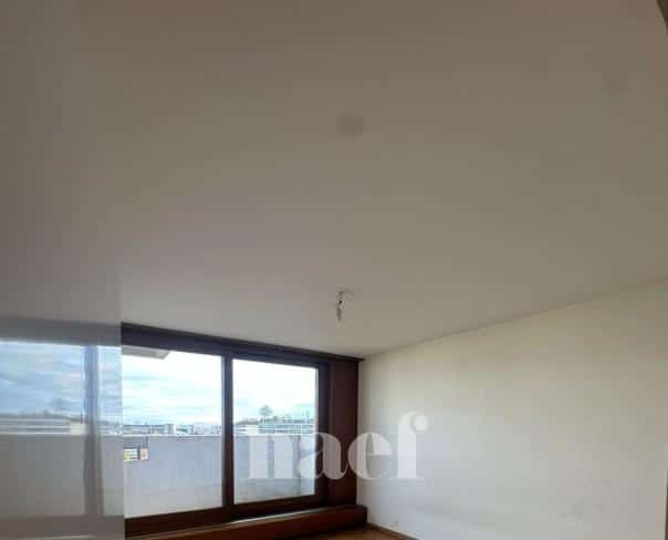 À louer : Appartement 10 Pieces Genève - Ref : 202101.10002 | Naef Immobilier