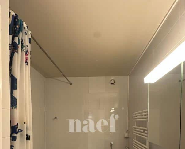 À louer : Appartement 10 Pieces Genève - Ref : 202101.10002 | Naef Immobilier