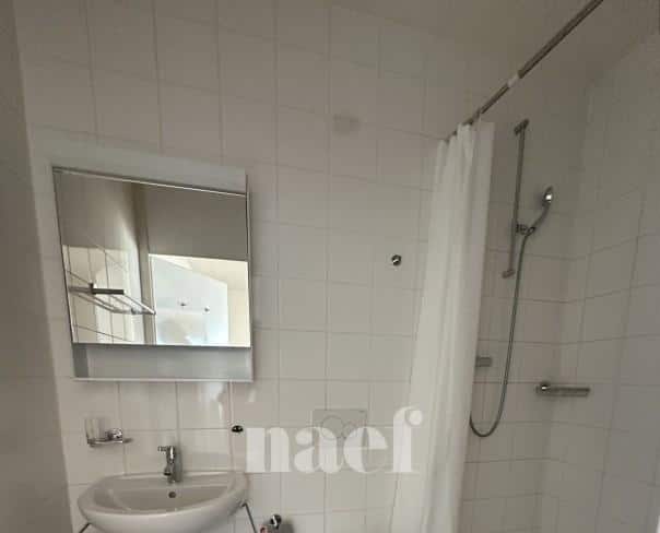 À louer : Appartement 10 Pieces Genève - Ref : 202101.10002 | Naef Immobilier