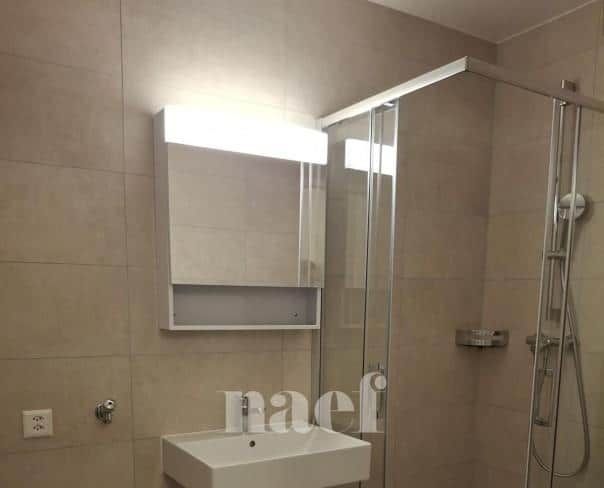 À louer : Appartement 2 Pieces Genève - Ref : 202125.3002 | Naef Immobilier