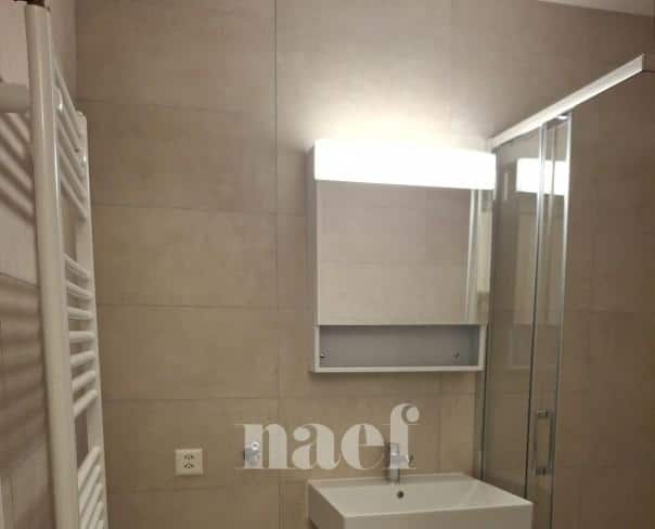 À louer : Appartement 2 Pieces Genève - Ref : 202125.3002 | Naef Immobilier