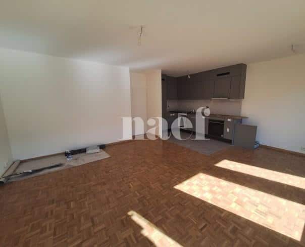 À louer : Appartement 5 Pieces Carouge - Ref : 202127.5001 | Naef Immobilier