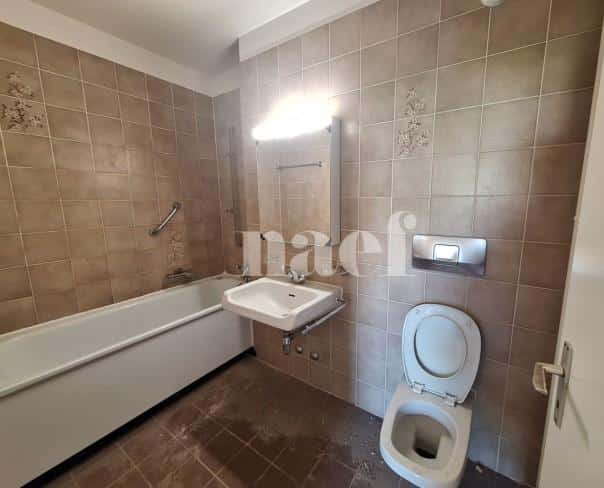 À louer : Appartement 5 Pieces Carouge - Ref : 202127.5001 | Naef Immobilier
