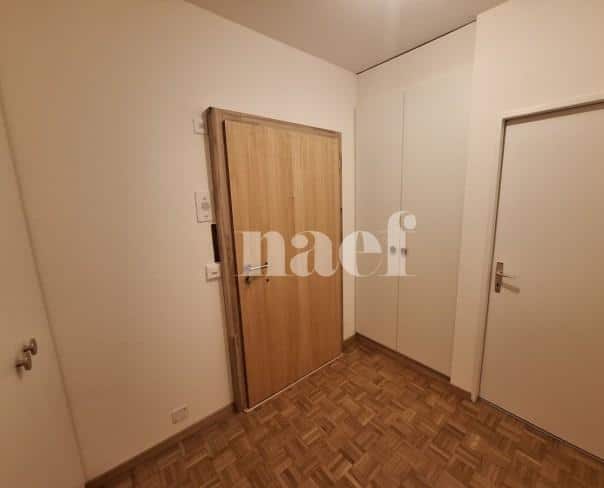 À louer : Appartement 5 Pieces Carouge - Ref : 202127.5001 | Naef Immobilier