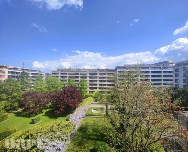 À louer : Appartement 3.5 Pieces Carouge - Ref : 202130.4003 | Naef Immobilier