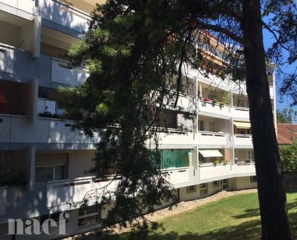 À louer : Parking  Grand-Lancy - Ref : 204293.60014 | Naef Immobilier