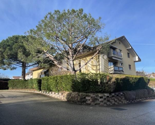 À louer : Appartement 1 Pieces St-Prex - Ref : 204298.1013 | Naef Immobilier