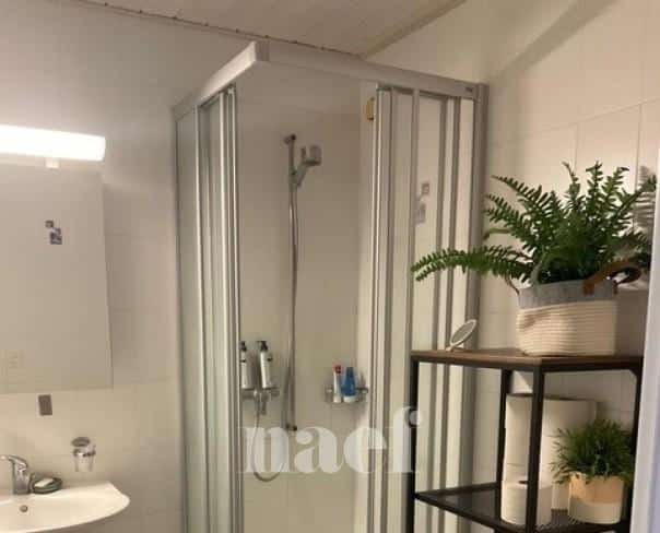 À louer : Appartement 6.5 Pieces Founex - Ref : 205608.2021 | Naef Immobilier