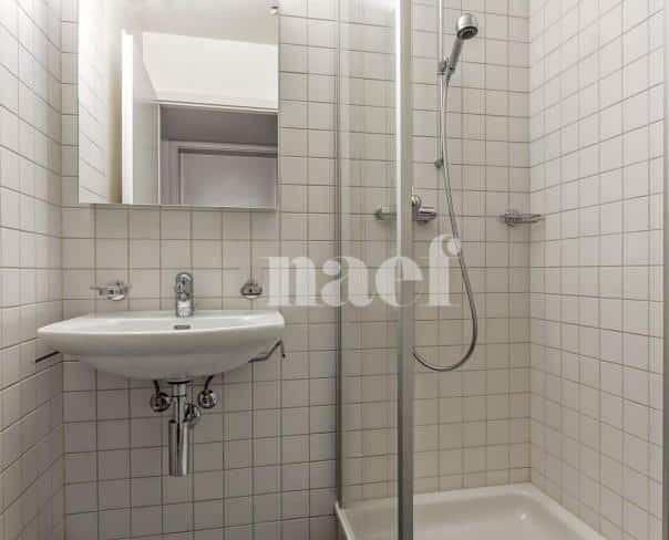 À louer : Appartement 5.5 Pieces Nyon - Ref : 205684.3033 | Naef Immobilier