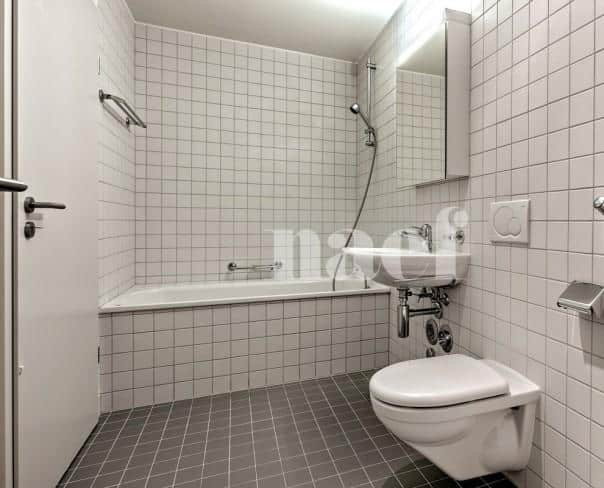 À louer : Appartement 6.5 Pieces Nyon - Ref : 205685.4041 | Naef Immobilier