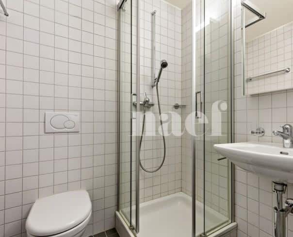 À louer : Appartement 6.5 Pieces Nyon - Ref : 205685.4041 | Naef Immobilier