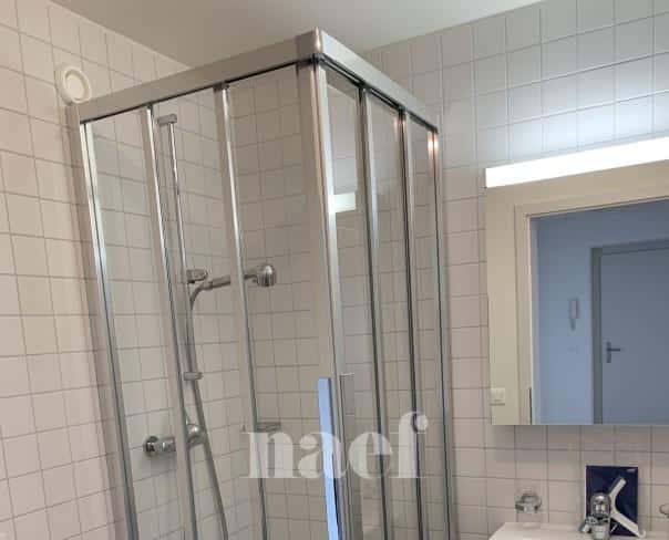 À louer : Appartement 4.5 Pieces Nyon - Ref : 205686.4042 | Naef Immobilier