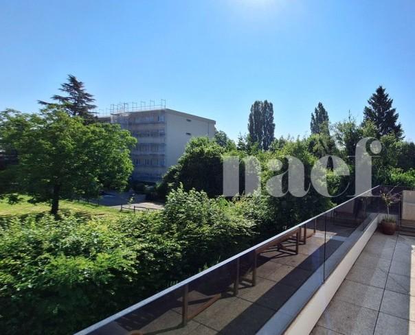 À louer : Appartement 4.5 Pieces Nyon - Ref : 205768.1315 | Naef Immobilier
