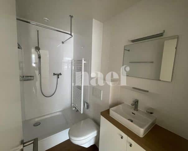 À louer : Surface Commerciale Bureau Nyon - Ref : 205831.3001 | Naef Immobilier