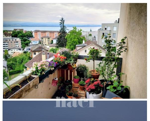 À louer : Appartement 3 Pieces Neuchâtel - Ref : 208022.5002 | Naef Immobilier