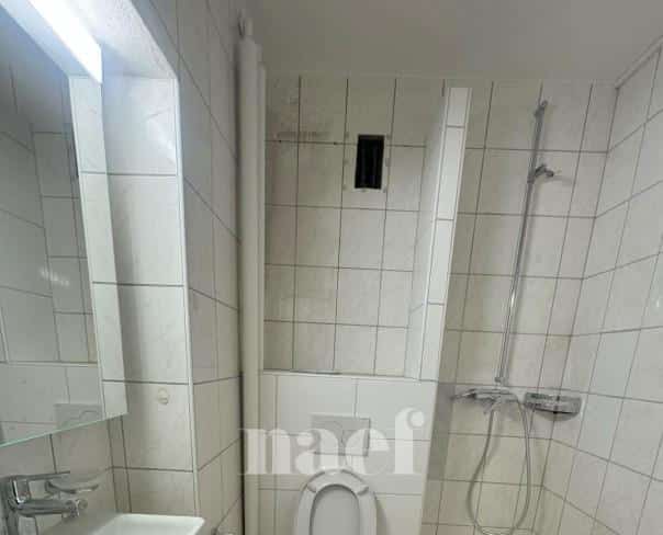 À louer : Appartement 2 Pieces Neuchâtel - Ref : 208263.3001 | Naef Immobilier