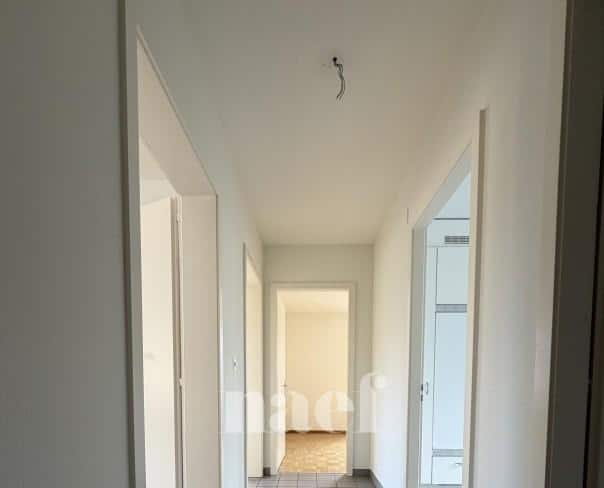 À louer : Appartement 3 Pieces Peseux - Ref : 208296.1002 | Naef Immobilier